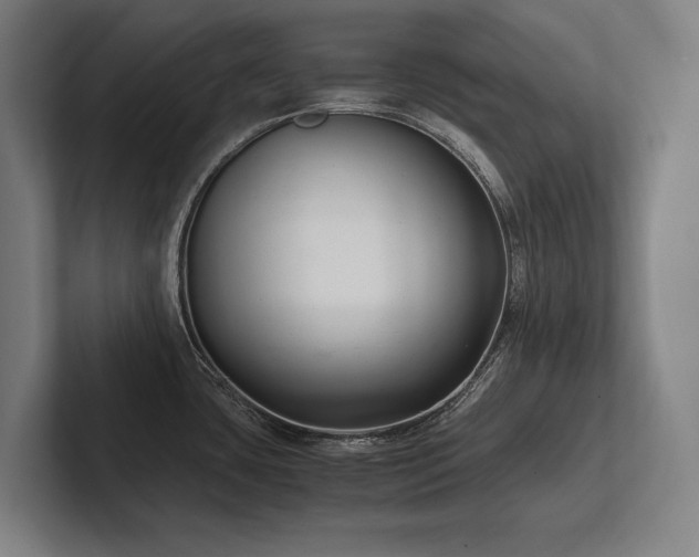 X0000102761435200808181100