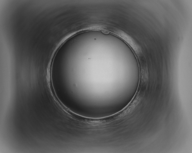 X0000102761436200808181100