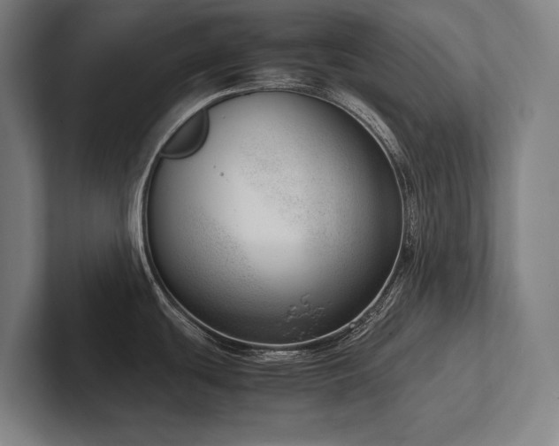 X0000102761439200808181100