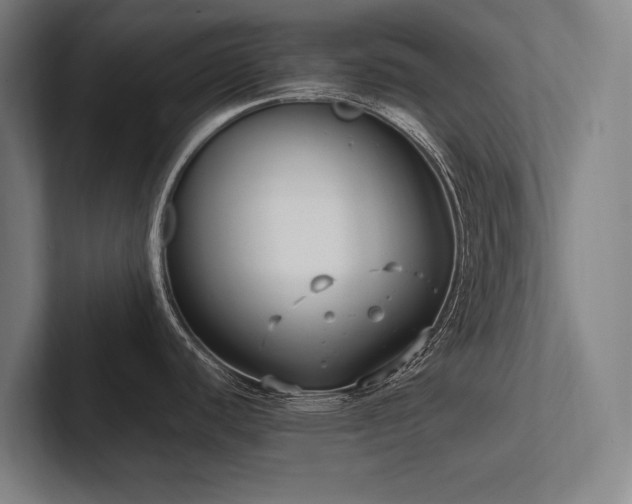 X0000102761440200808181100
