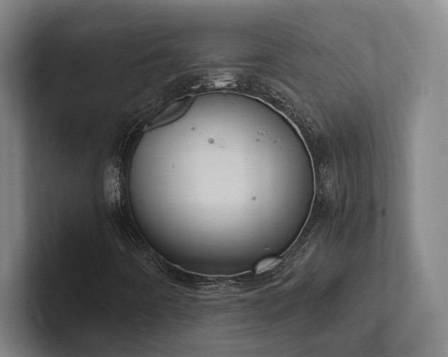 X0000102761442200808181059