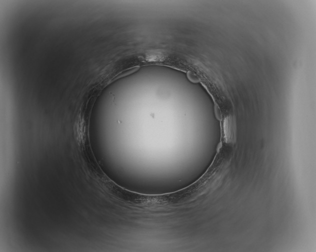 X0000102761443200808181059