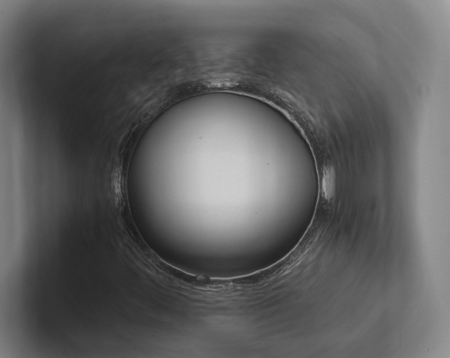 X0000102761444200808181059