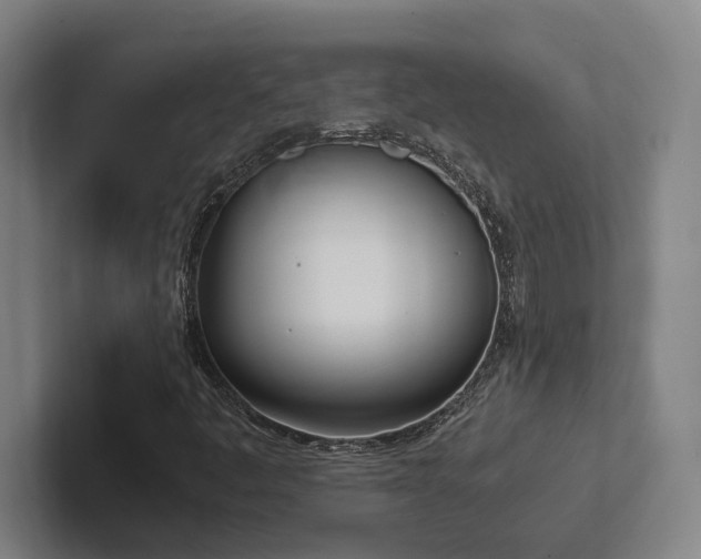 X0000102761445200808181059