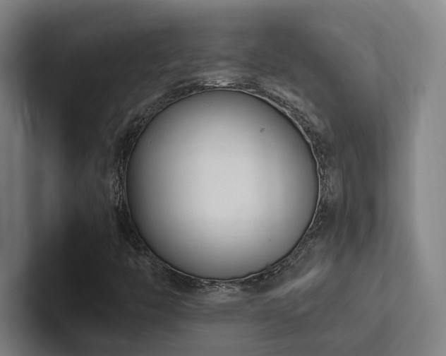 X0000102761446200808181059