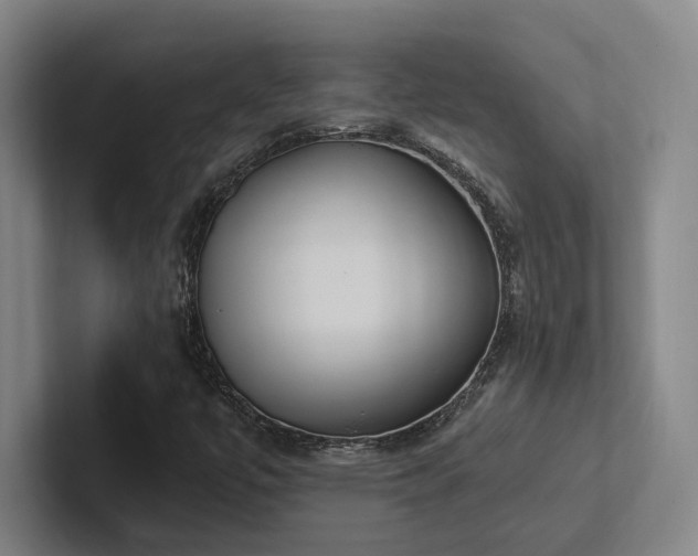 X0000102761447200808181059