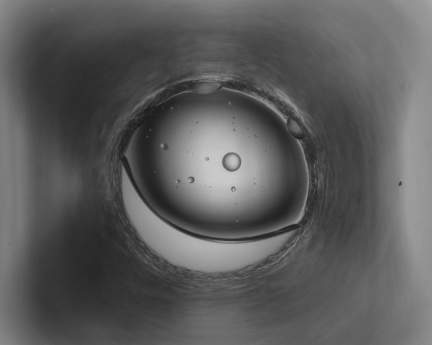 X0000102761448200808181059