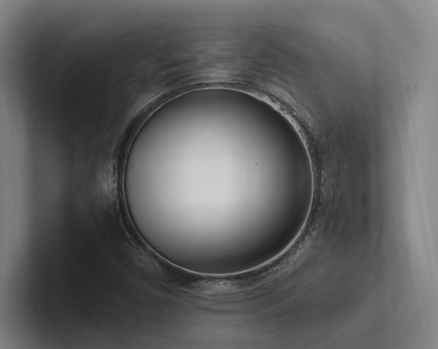 X0000102761450200808181059