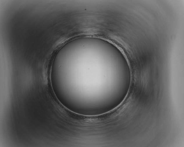 X0000102761451200808181059