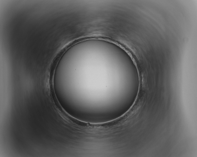 X0000102761452200808181059