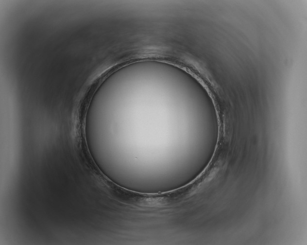 X0000102761453200808181059