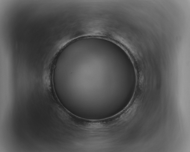 X0000102761455200808181059