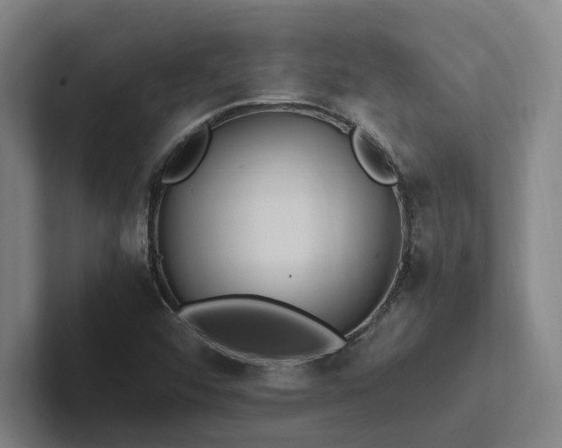 X0000102761456200808181059