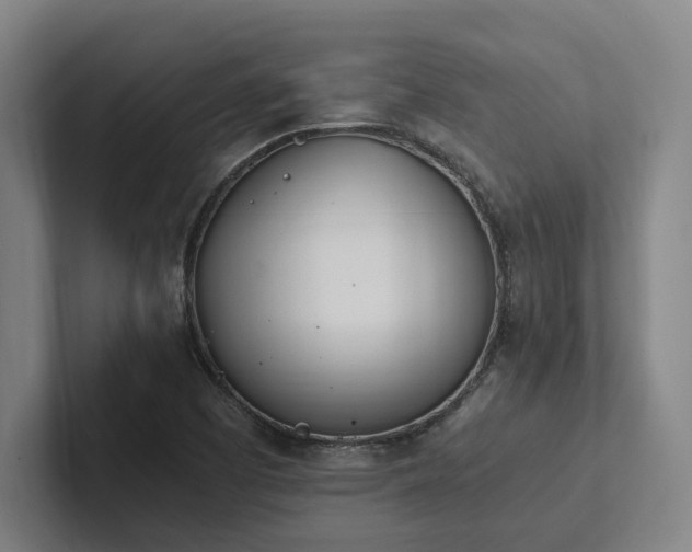 X0000102761457200808181059