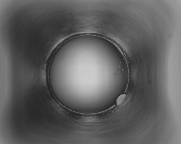 X0000102761460200808181059