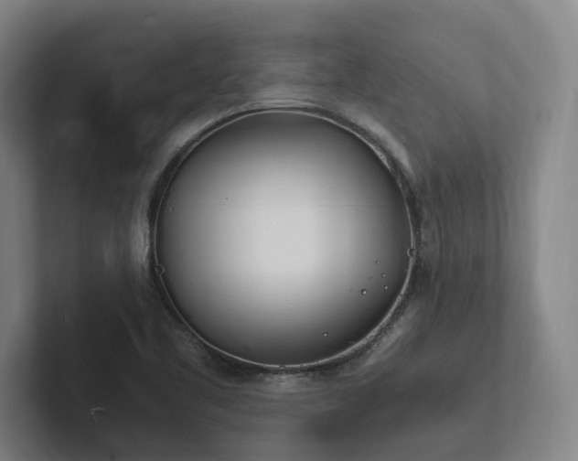 X0000102761461200808181059