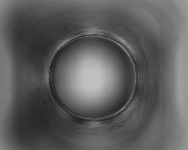 X0000102761463200808181059