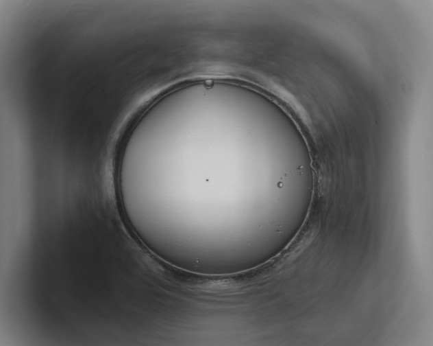 X0000102761464200808181059