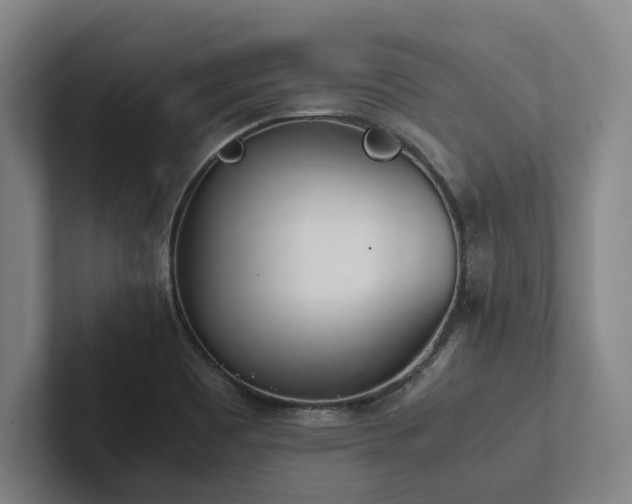 X0000102761465200808181059