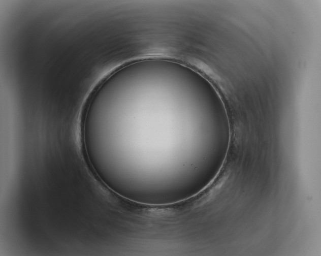 X0000102761469200808181059
