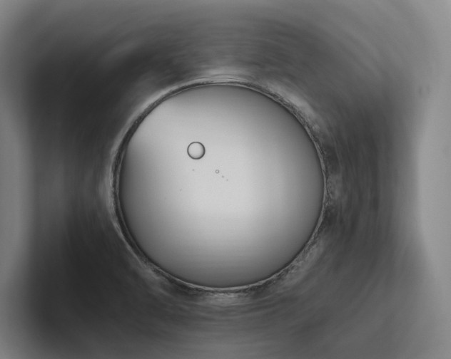 X0000102761470200808181059