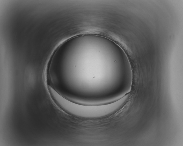 X0000102761471200808181059