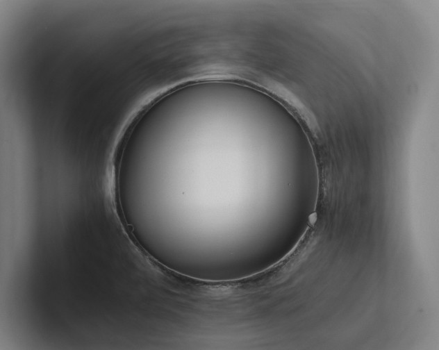 X0000102761472200808181059