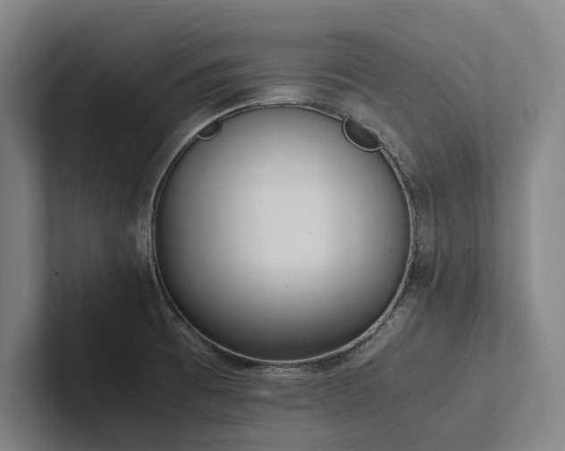 X0000102761473200808181059