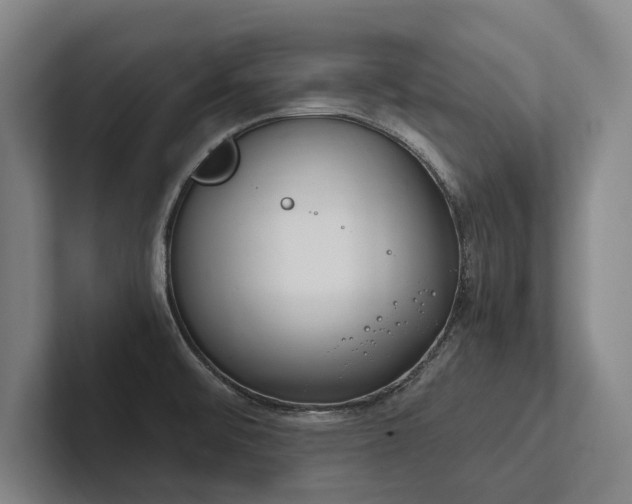 X0000102761476200808181059