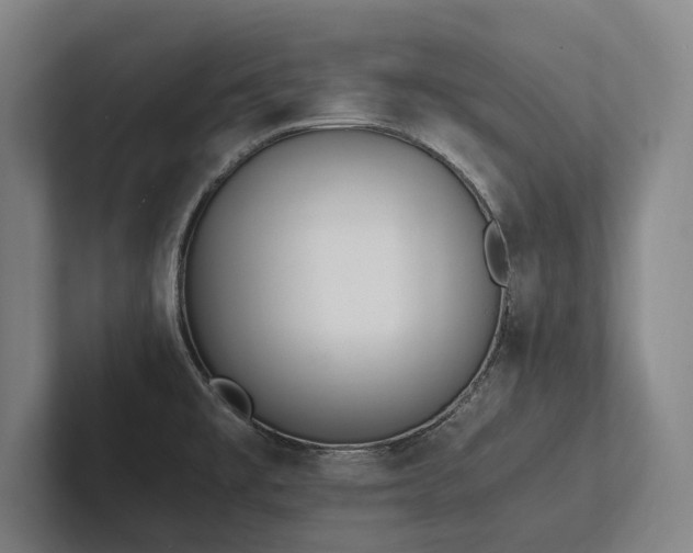 X0000102761477200808181059