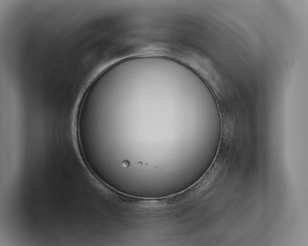 X0000102761478200808181059