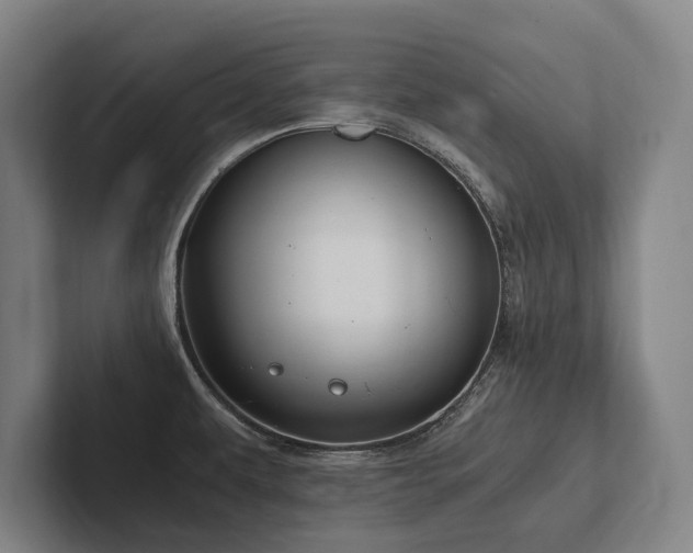 X0000102761479200808181059