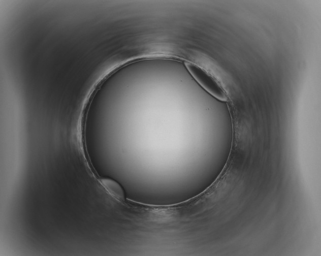 X0000102761480200808181059