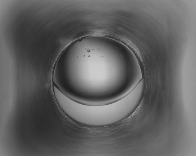 X0000102761481200808181059