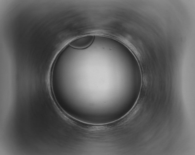 X0000102761482200808181059