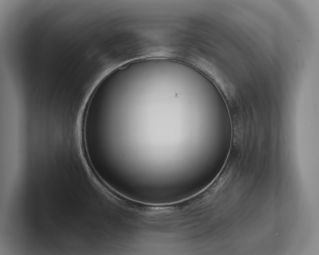 X0000102761483200808181059