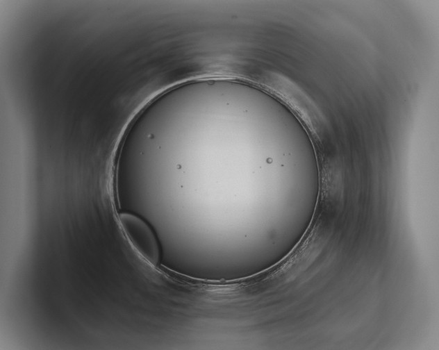 X0000102761484200808181059