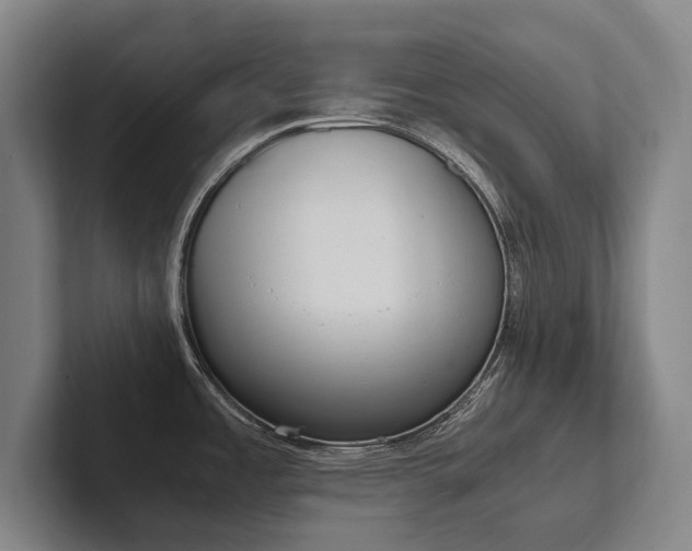 X0000102761485200808181059