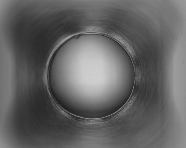 X0000102761486200808181059
