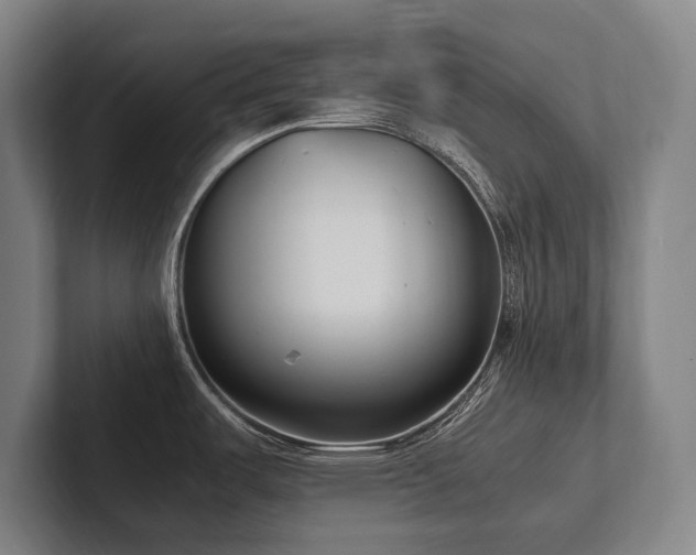 X0000102761487200808181059