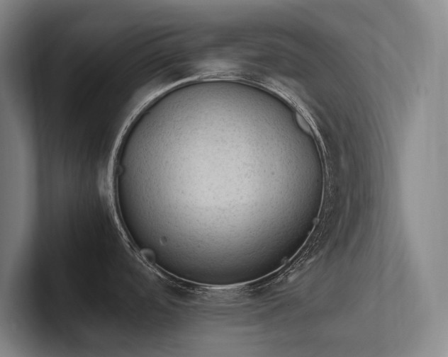X0000102761488200808181059
