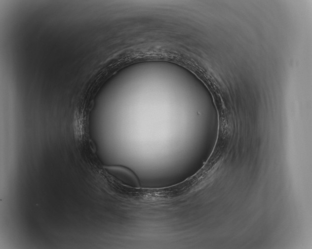 X0000102761490200808181058