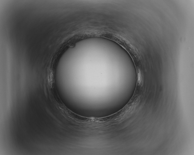 X0000102761492200808181058