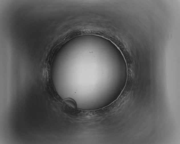 X0000102761493200808181058