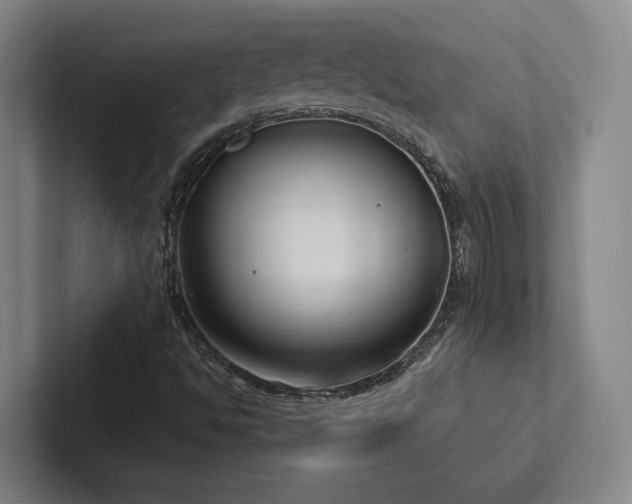 X0000102761494200808181058