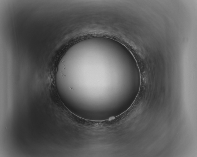X0000102761495200808181058