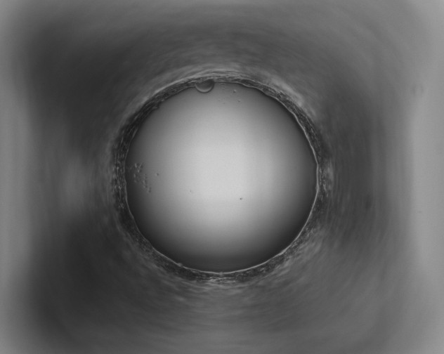 X0000102761496200808181058