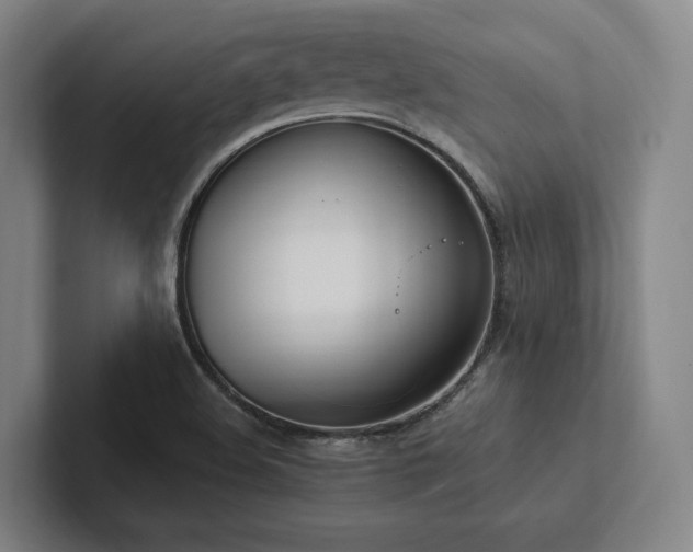 X0000102761508200808181058