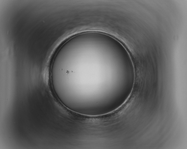 X0000102761511200808181058