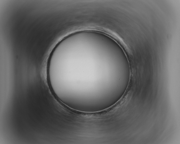 X0000102761512200808181058